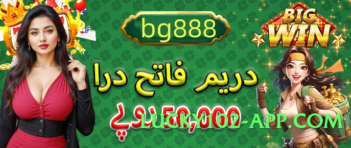 pakspin Screenshot 2