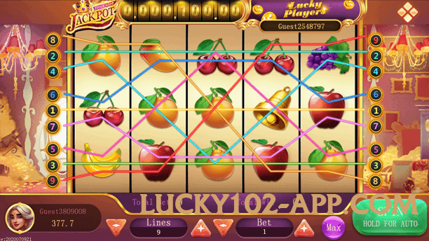 pakspin v5.2.5 Screenshot 1